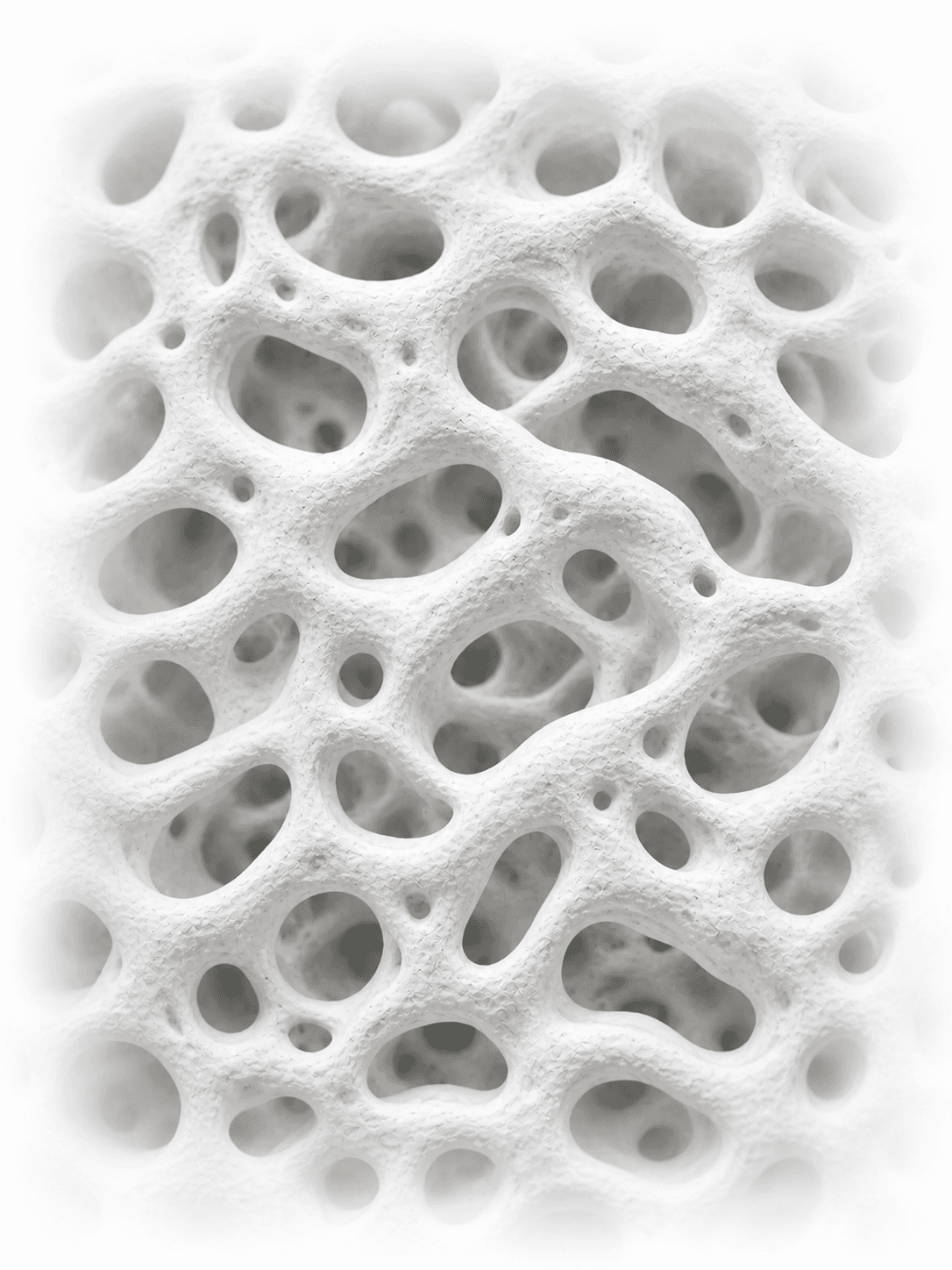 Cross-section of the MonoCore™ cellulose base matrix showing its open pore and channel structure.